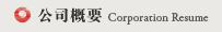 公司概要